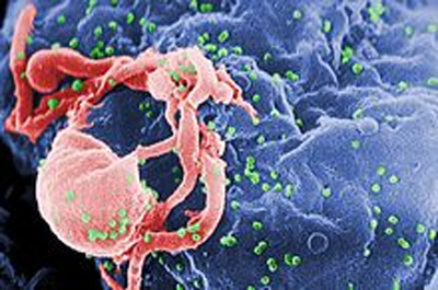 Lần đầu tiên tổng hợp được phân tử ngăn chặn sự nhân lên của HIV